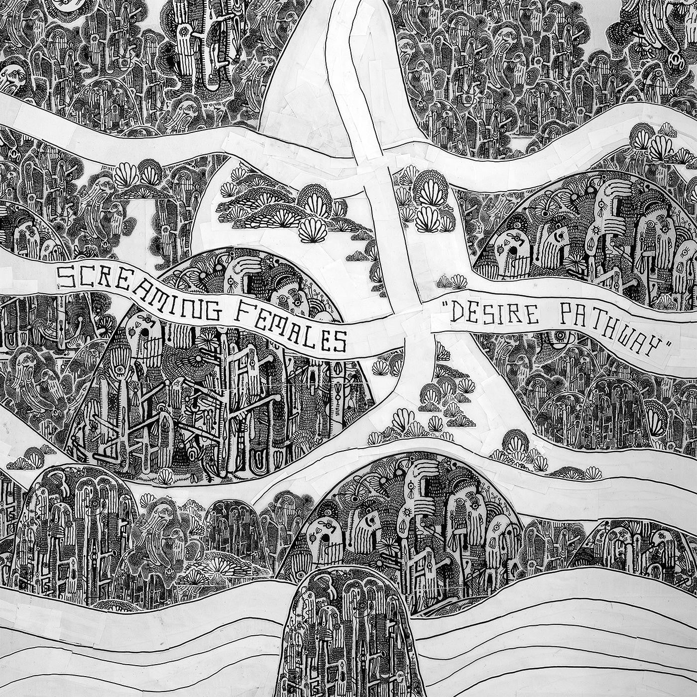 SCREAMING FEMALES 'DESIRE PATHWAY' LP