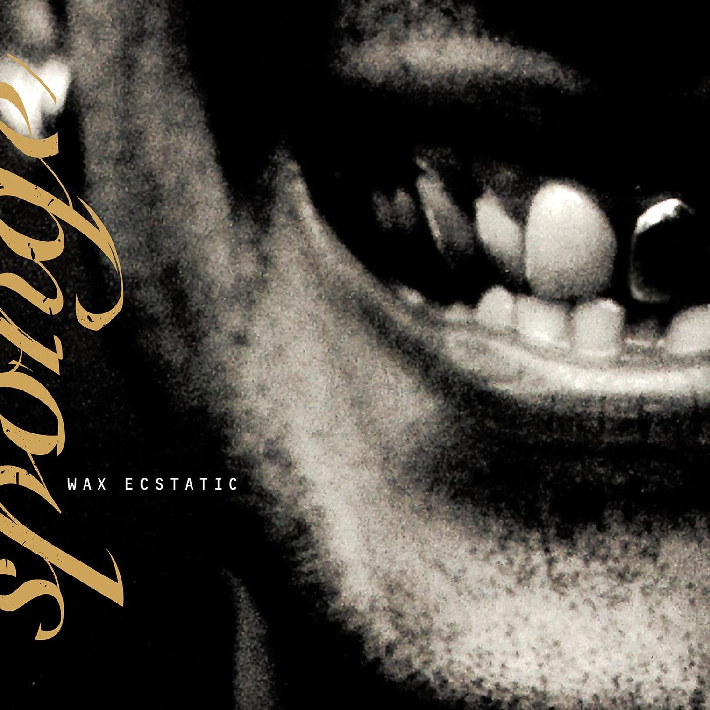 SPONGE 'WAX ECSTATIC' LP (Galaxy Beer & Black Vinyl)