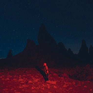 PHOEBE BRIDGERS 'PUNISHER' LP