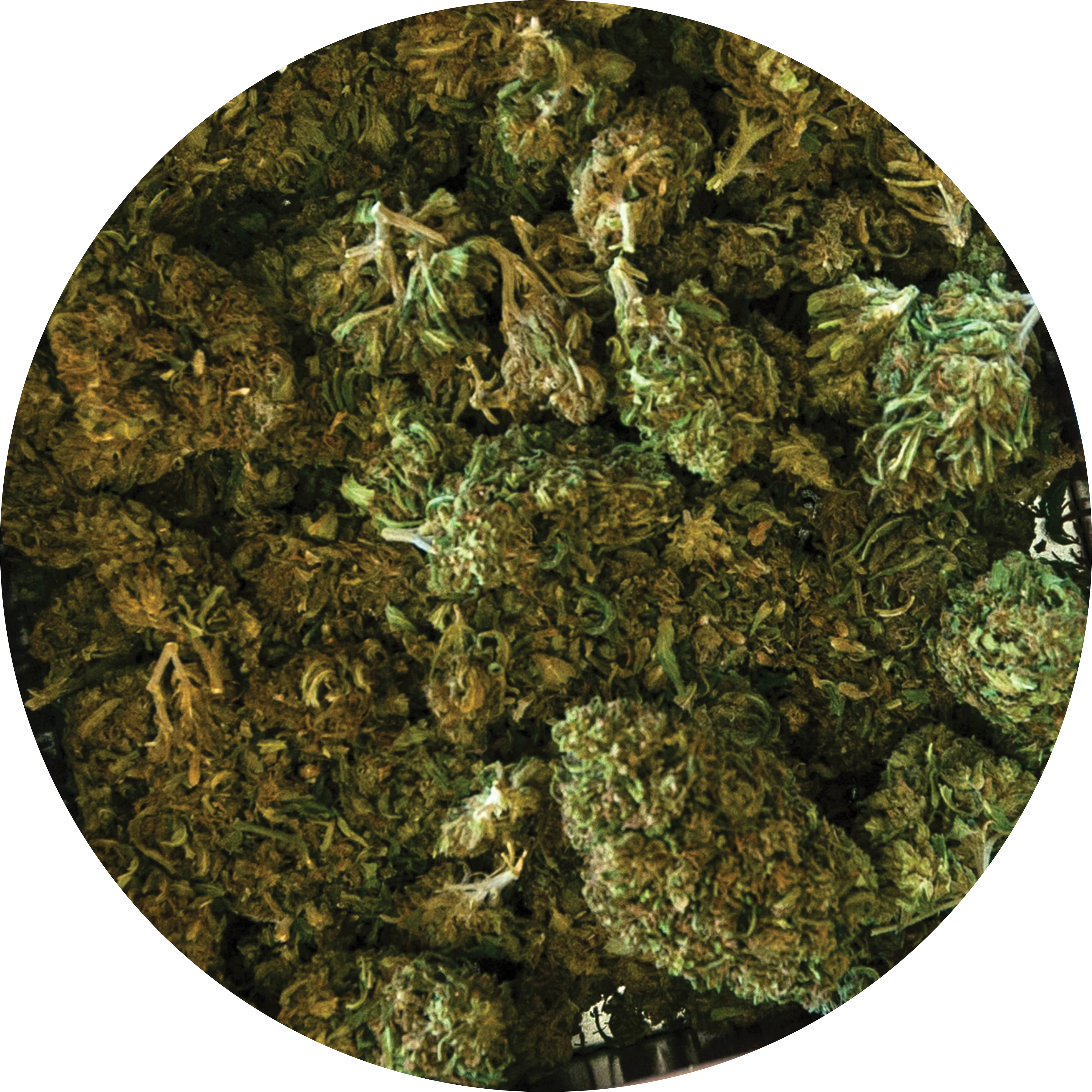 SPIN TO THE LEFT LIMITED EDITION SLIPMAT – ONLY 100 AVAILABLE