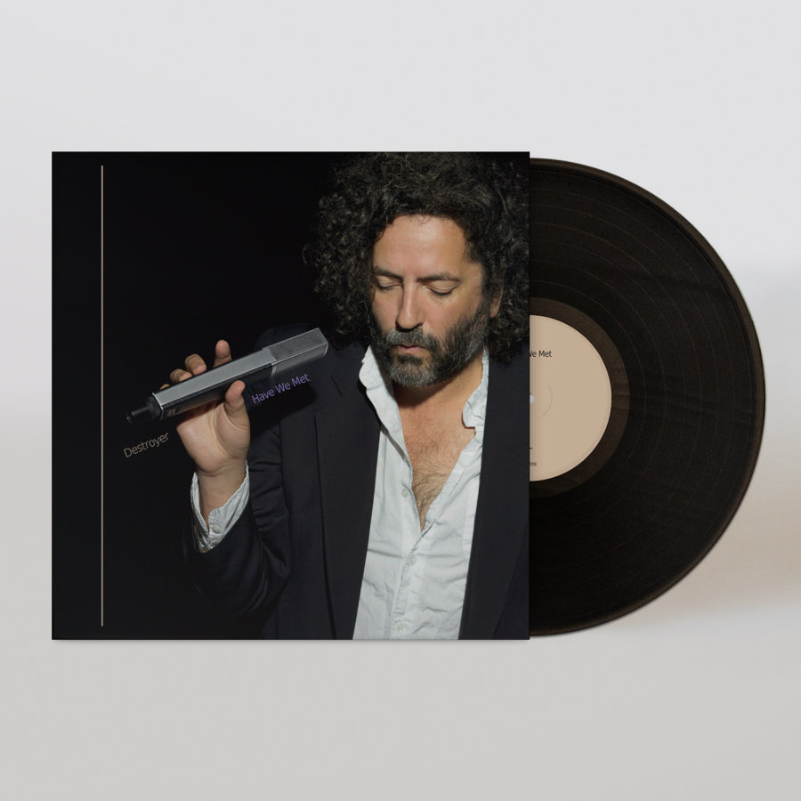DESTROYER 'HAVE WE MET' LP