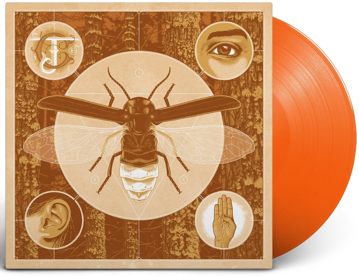 JERRY CANTRELL ‘BRIGHTEN’ HALLOWEEN ORANGE VINYL — ONLY 500 MADE