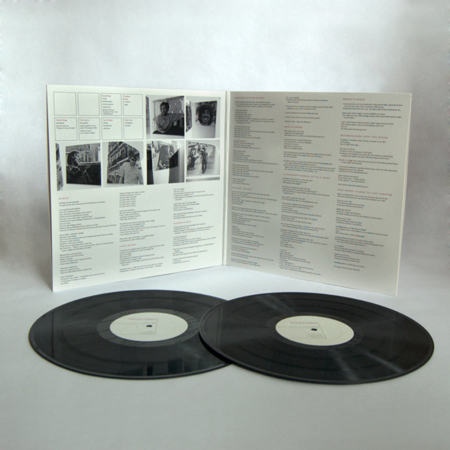 DESTROYER 'DESTROYER'S RUBIES' 2LP