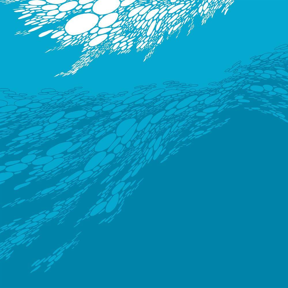 BORIS 'FLOOD' LP