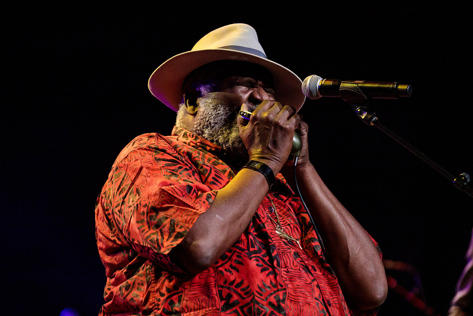 BRIC Celebrate Brooklyn! Festival’s 2023 opening night cancelled due to air quality