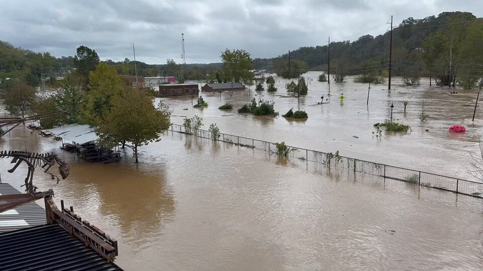 Asheville musicians Wednesday, Indigo de Souza & more respond to Hurricane Helene damage