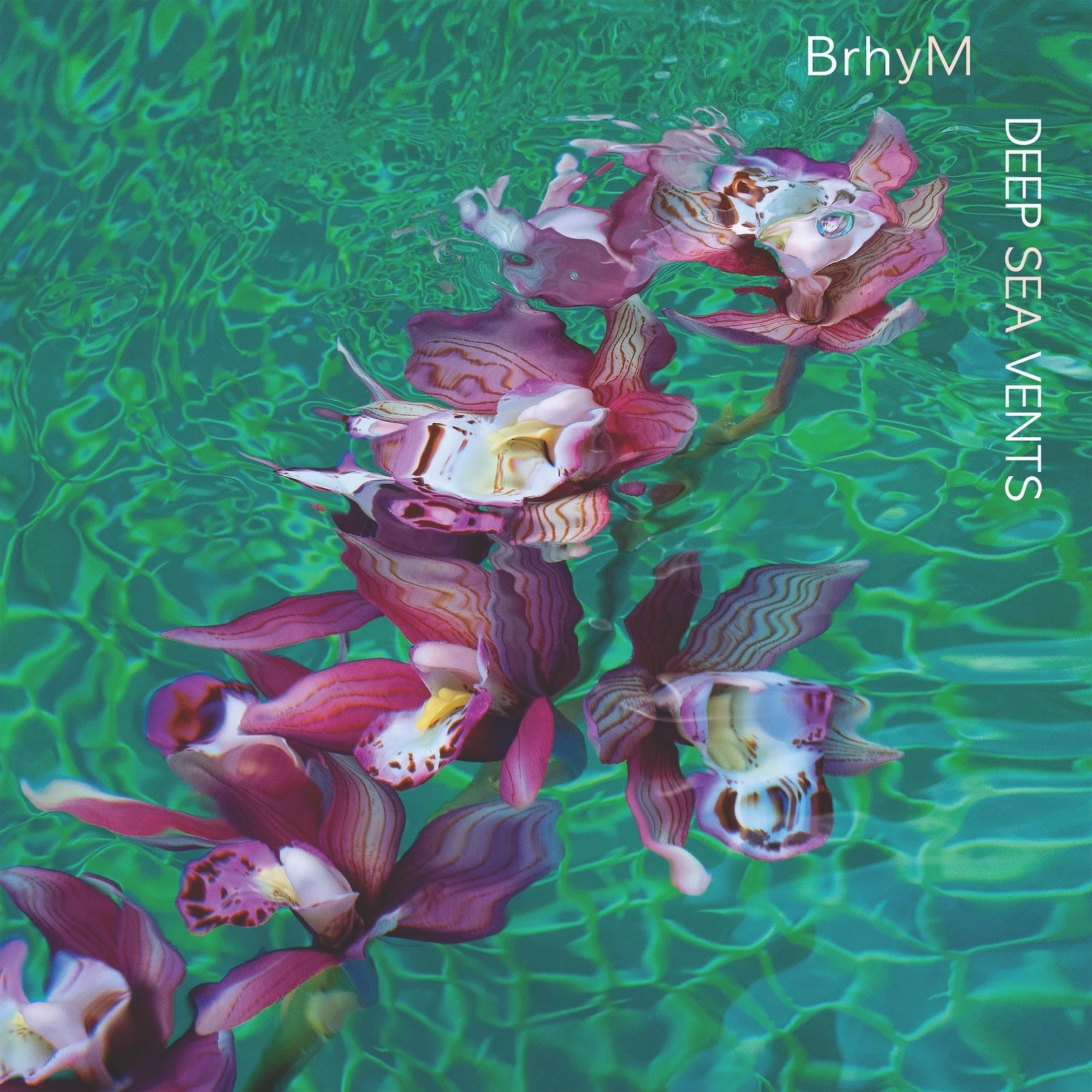 BrhyM (Bruce Hornsby & yMusic) announce debut album, share “Deep Blue”