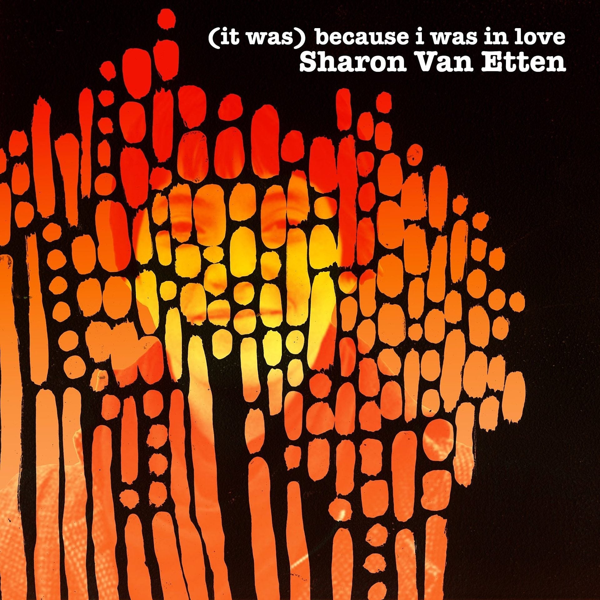 Sharon Van Etten preps deluxe reissue of debut LP, shares “I Wish I Knew”
