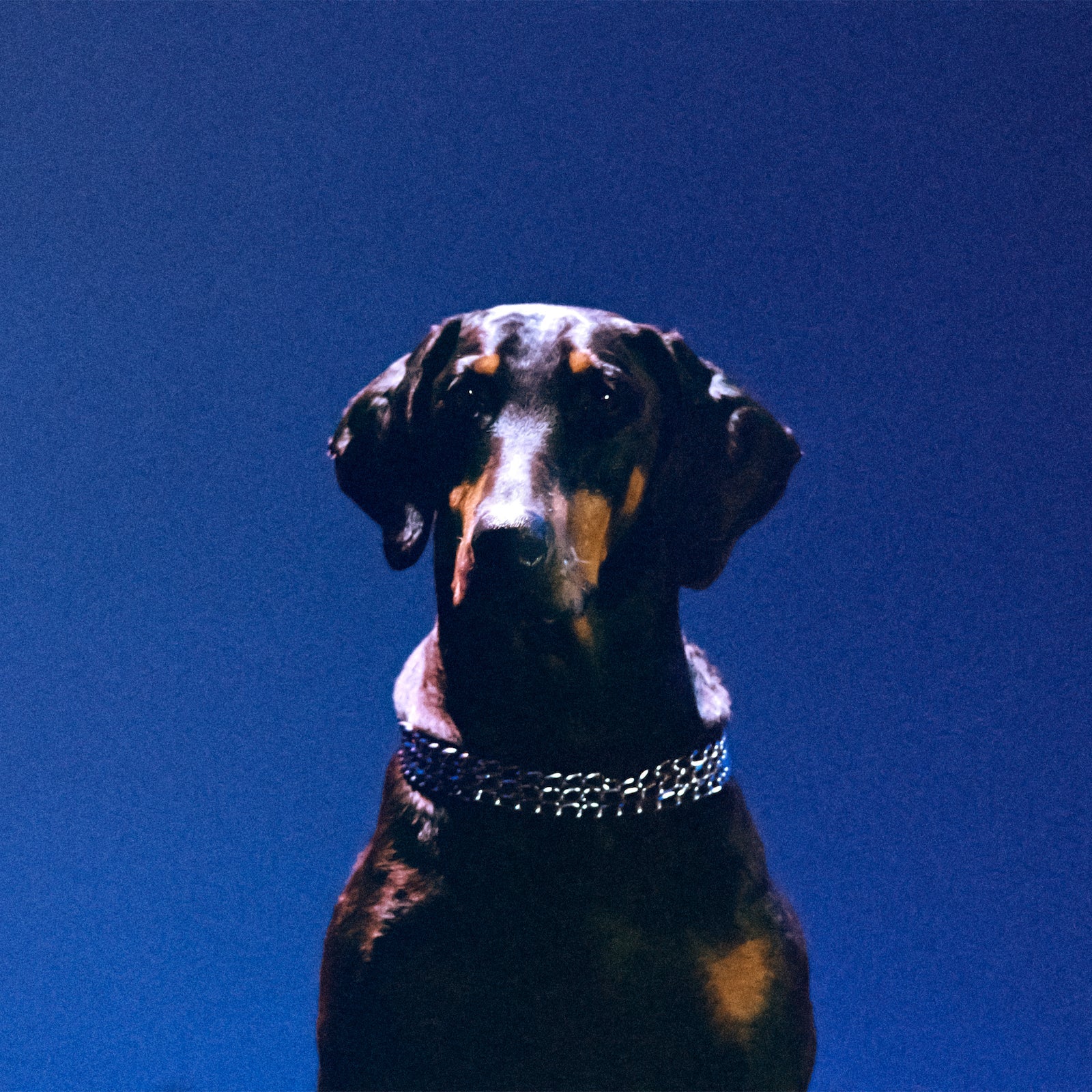 21 New Songs Out Today