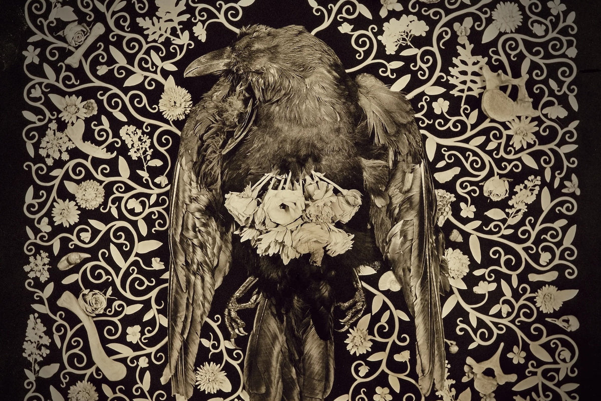 Pygmy Lush releasing shelved album ‘Totem,’ share “February Song”