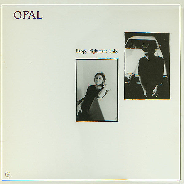 David Roback’s cause of death revealed; Opal reissues in the works