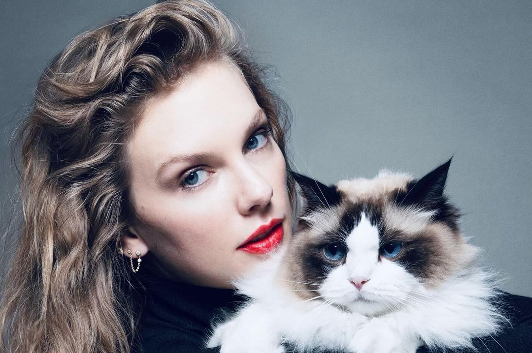 Taylor Swift endorses Kamala Harris for president