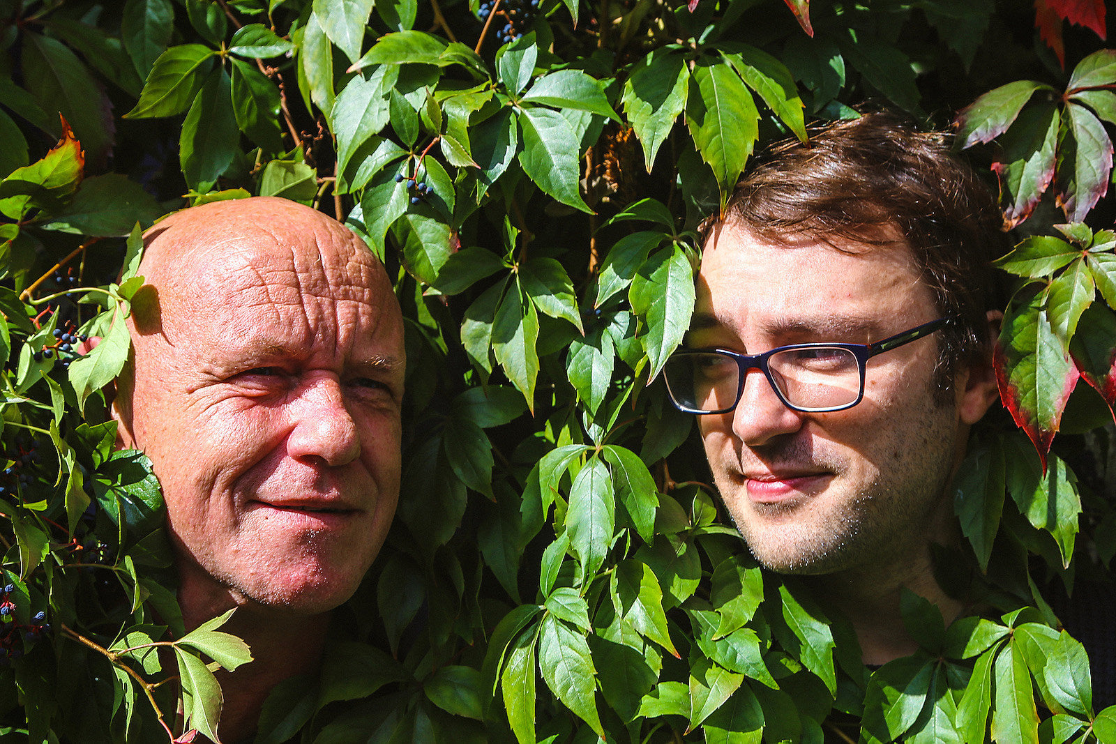 The Orb announce remix album and immersive livestream (stream a track)