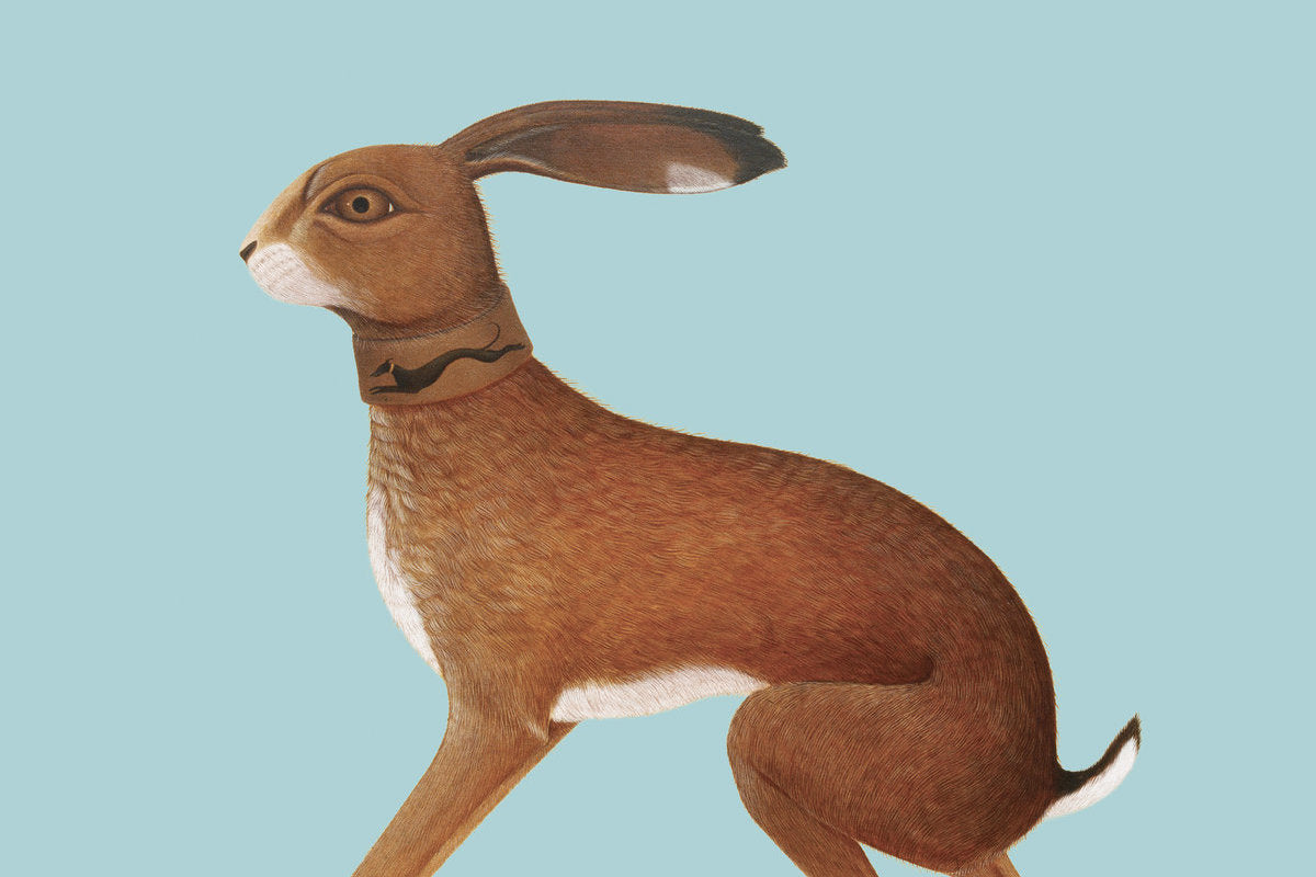 Vashti Bunyan releasing 20th anniversary edition of ‘Lookaftering,’ shares new 2001 demo