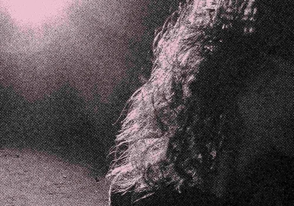 Jane Remover announces debut album by fictional band Venturing