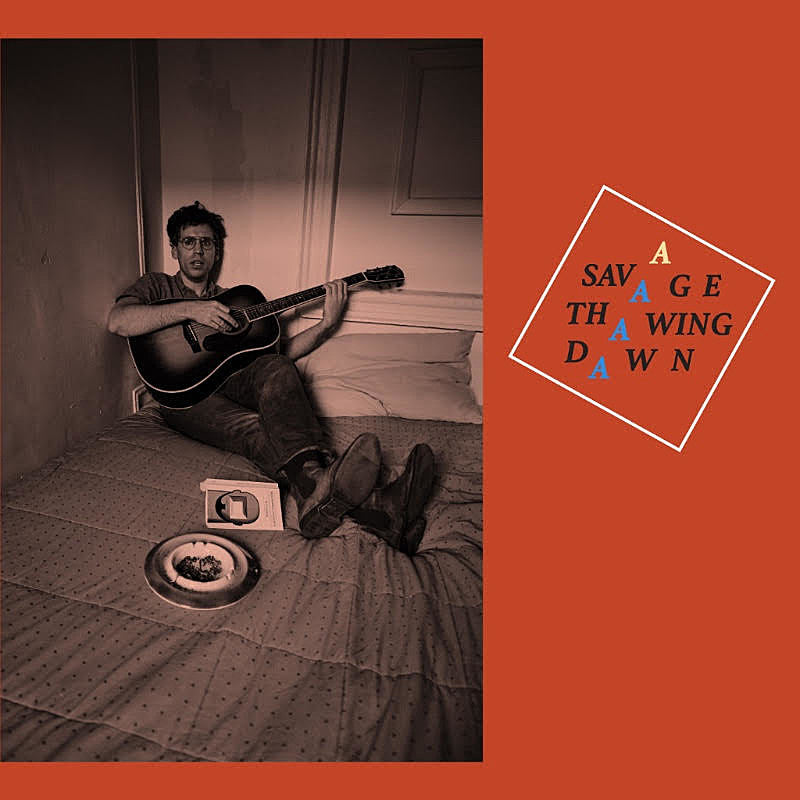 Parquet Courts’ Andrew Savage preps solo LP (listen to “Winter in the South”)