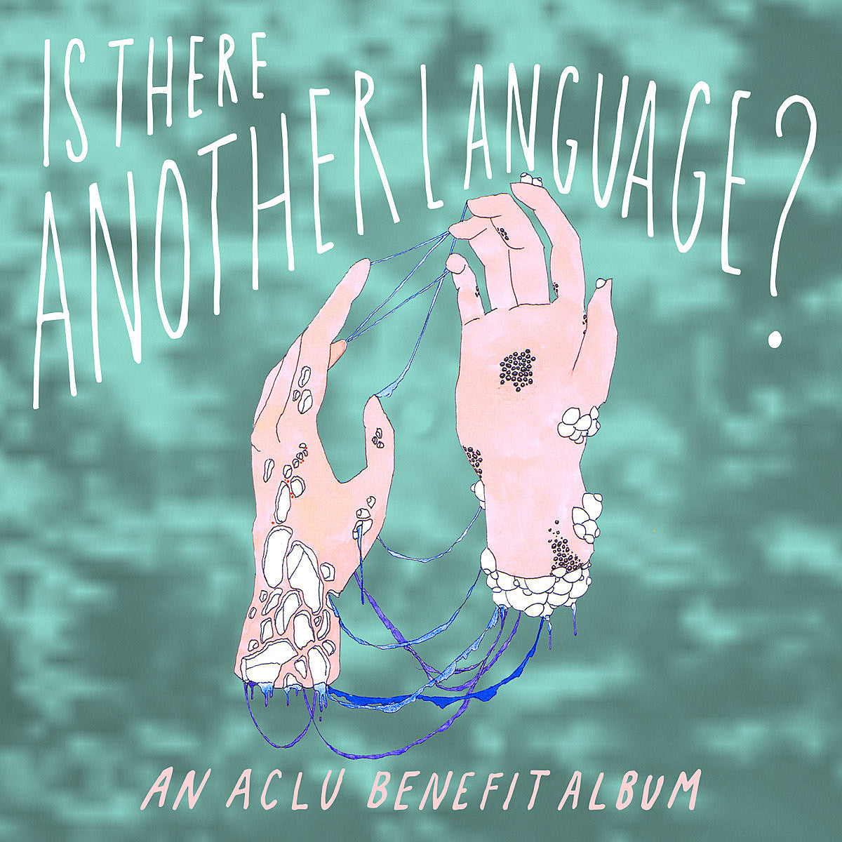 Mount Eerie, Pains of Being Pure at Heart, Dean & Britta, more on ACLU benefit comp