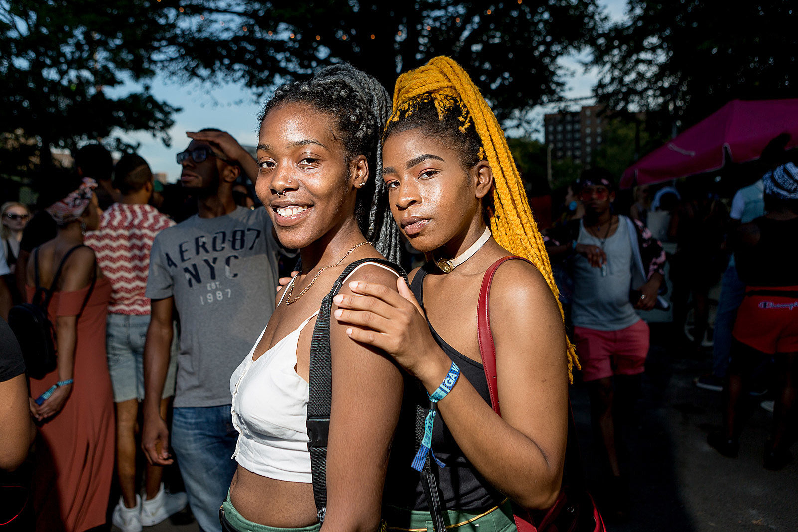 Afropunk Brooklyn 2019 announces daily lineup