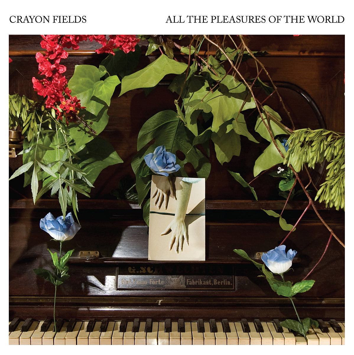 Crayon Fields prep ‘All the Pleasures of the World’ deluxe 10th anniversary reissue