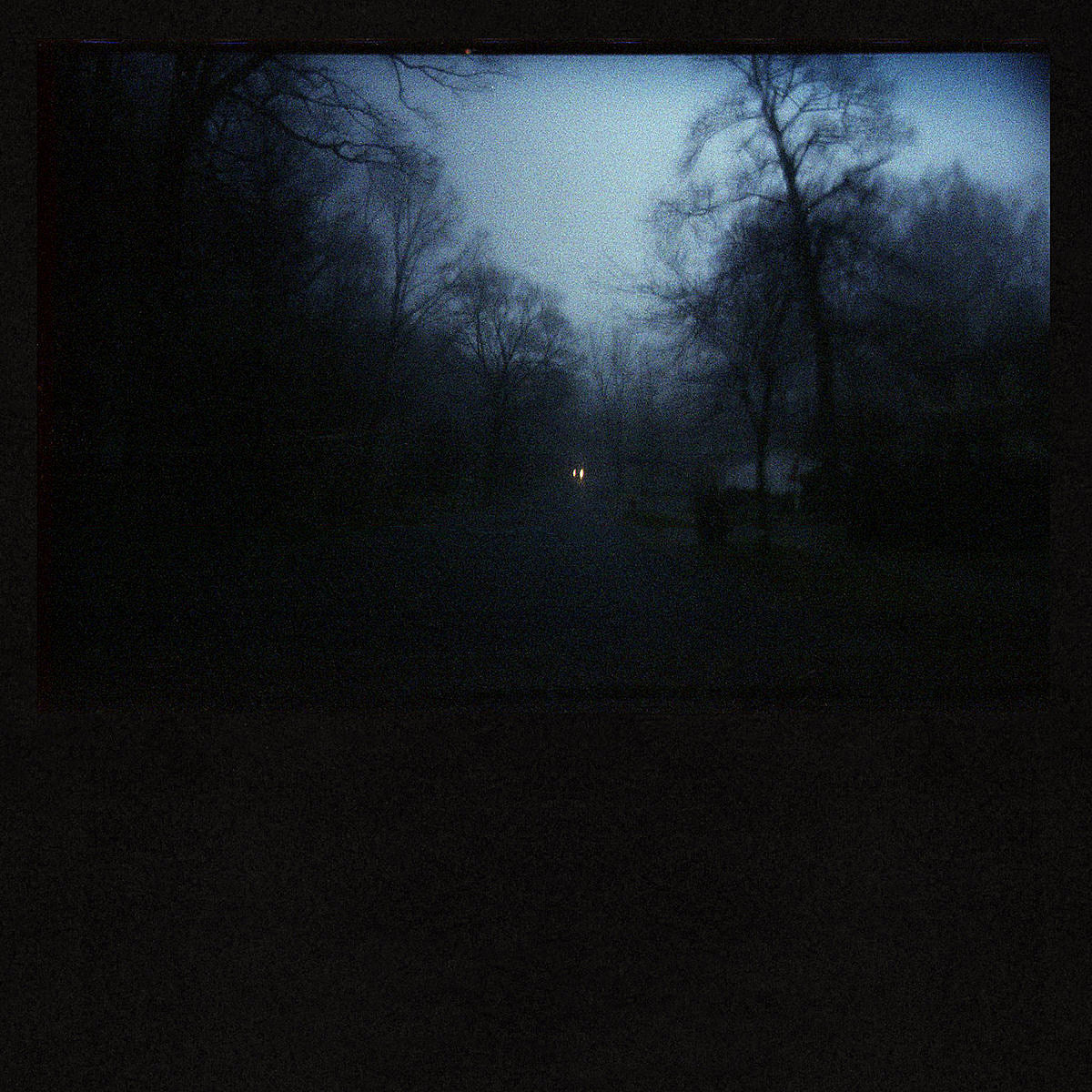 stream American Pleasure Club’s “the miserable vision”