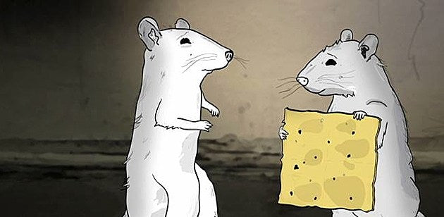 Kurt Vile, A$AP Rocky & A$AP Ferg among voice actors for new HBO series ‘Animals.’