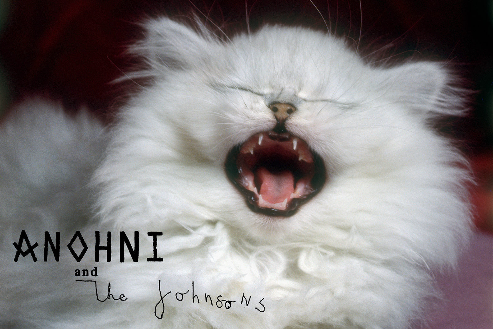 ANOHNI & The Johnsons share new single “Breaking” ++ Brooklyn shows on BV Presale (password here)