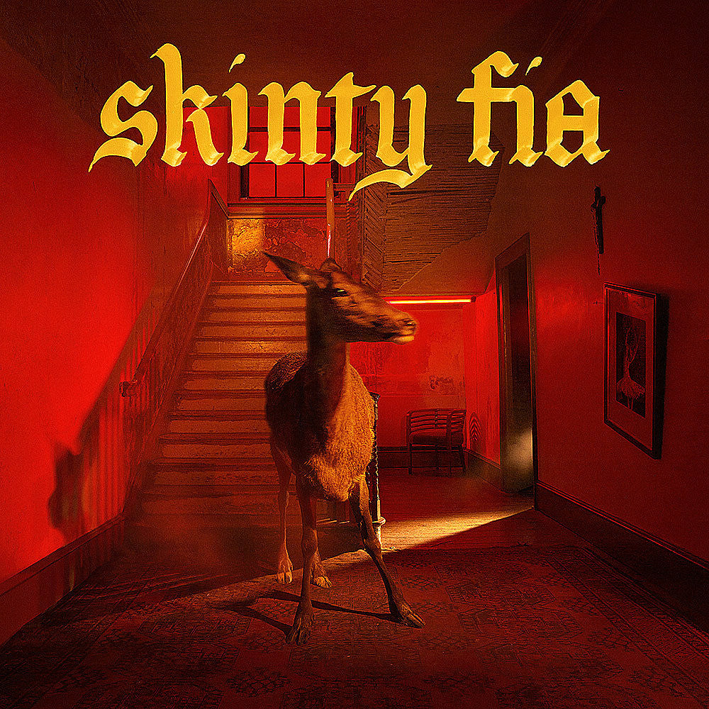Review: Fontaines D.C.’s restless spirit inspires on terrific ‘Skinty Fia’