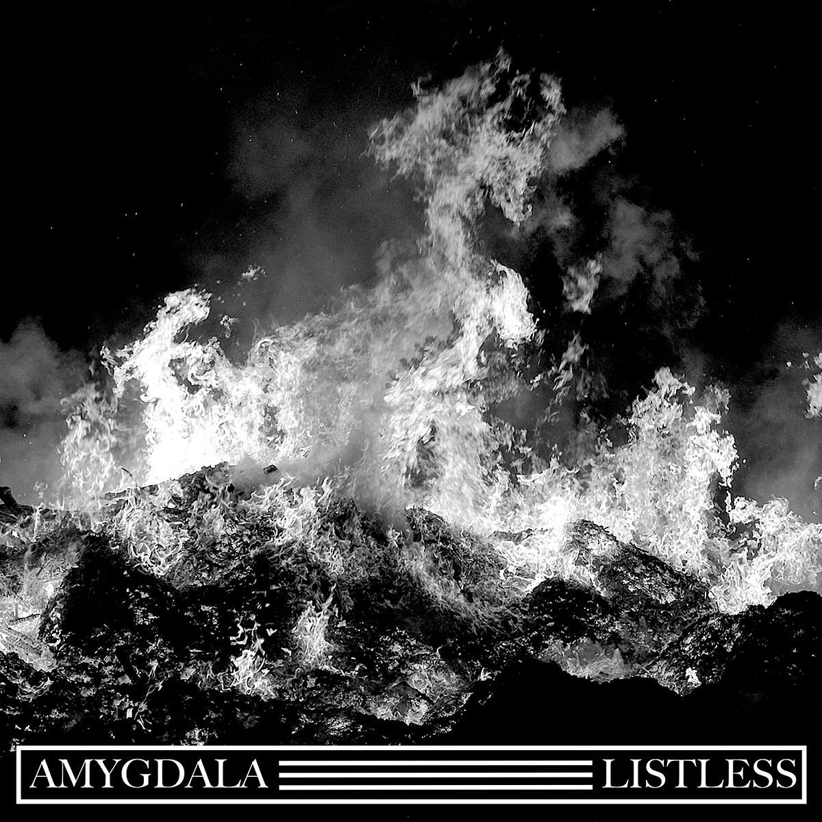 Amygdala & Listless releasing split LP (stream a track from each)