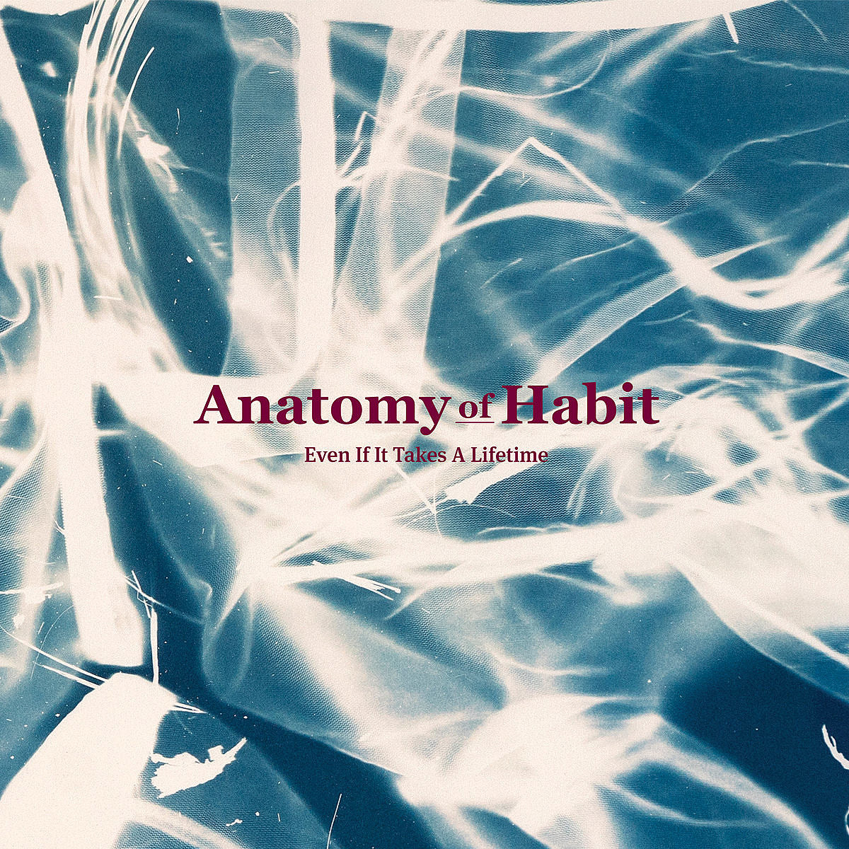 Stream Anatomy of Habit’s first album in 7 years, ‘Even If It Takes A Lifetime’