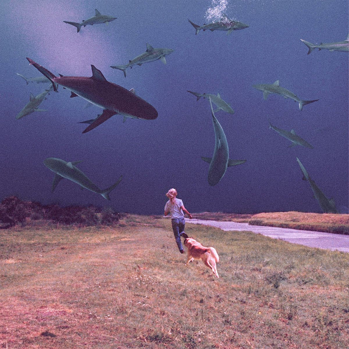 Bully and Soccer Mommy team up on new single “Lose You” (listen)