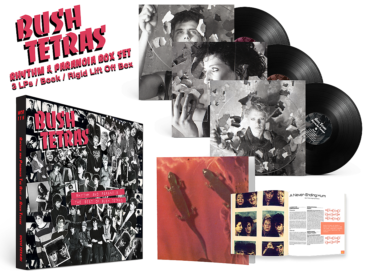 The Bush Tetras releasing new Best Of box set (hear unreleased song “Cutting Floor”)