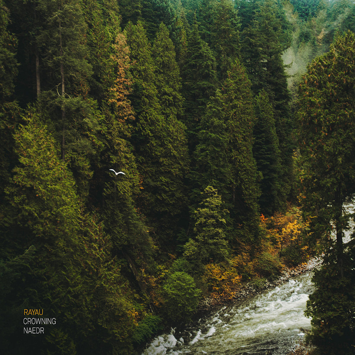 Stream Crowning and Naedr’s new screamo split, ‘Rayau’