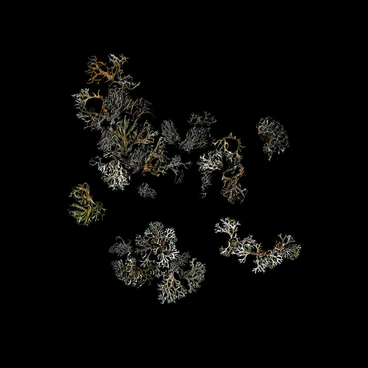 Stream UK slowcore/post-rock band Deathcrash’s stunning debut LP ‘Return’