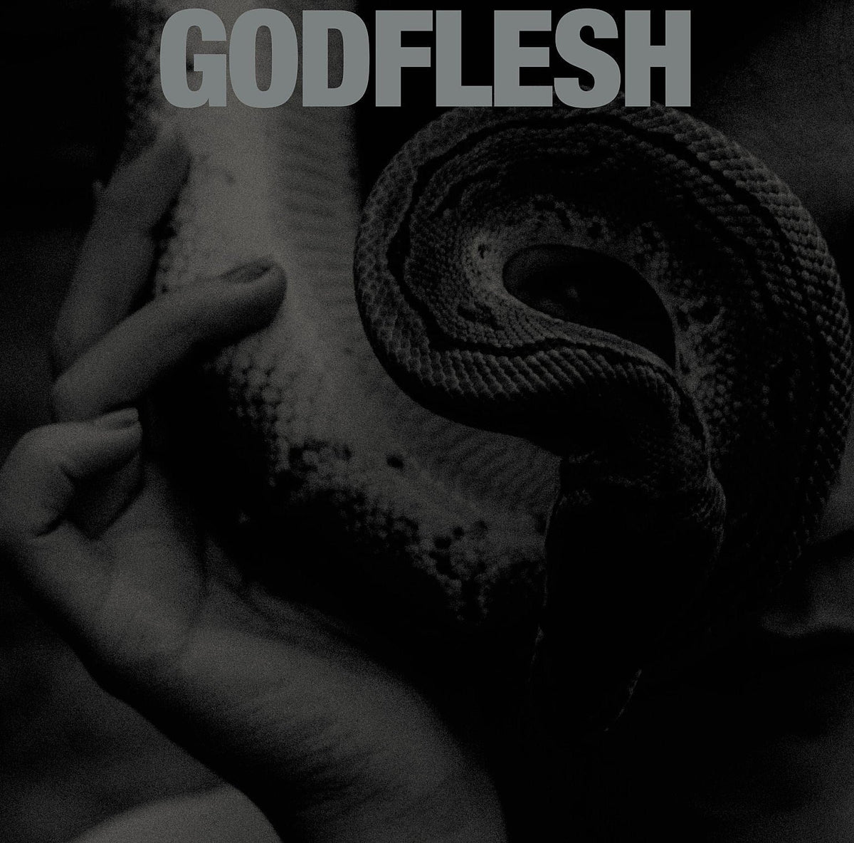 Godflesh announce new album ‘Purge’