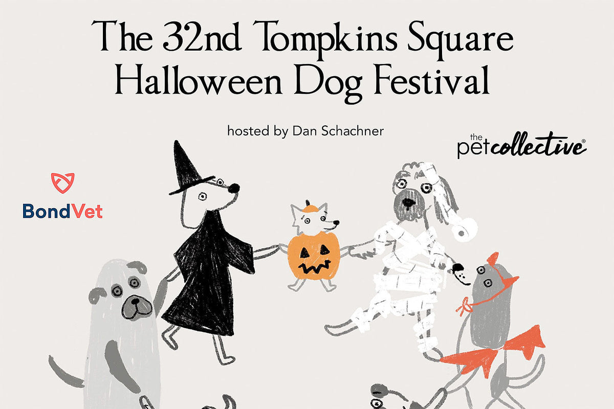 Halloween Dog Parade returning to Tompkins Square Park for 2022