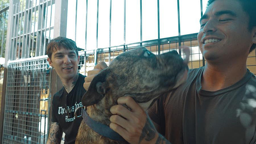 Watch Joyce Manor’s new music video for “Did You Ever Know?” with Best Friends Animal Society