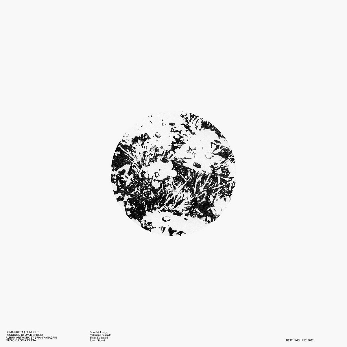 Loma Prieta release new song “Sunlight,” touring with The New Trust