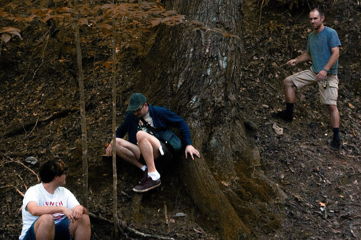 Michael Cera Palin announce tour, including NYC with Teenage Halloween
