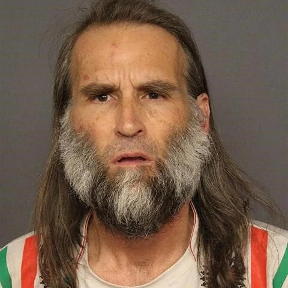 Royal Trux’s Neil Hagerty arrested in Denver after allegedly assaulting 3 police officers