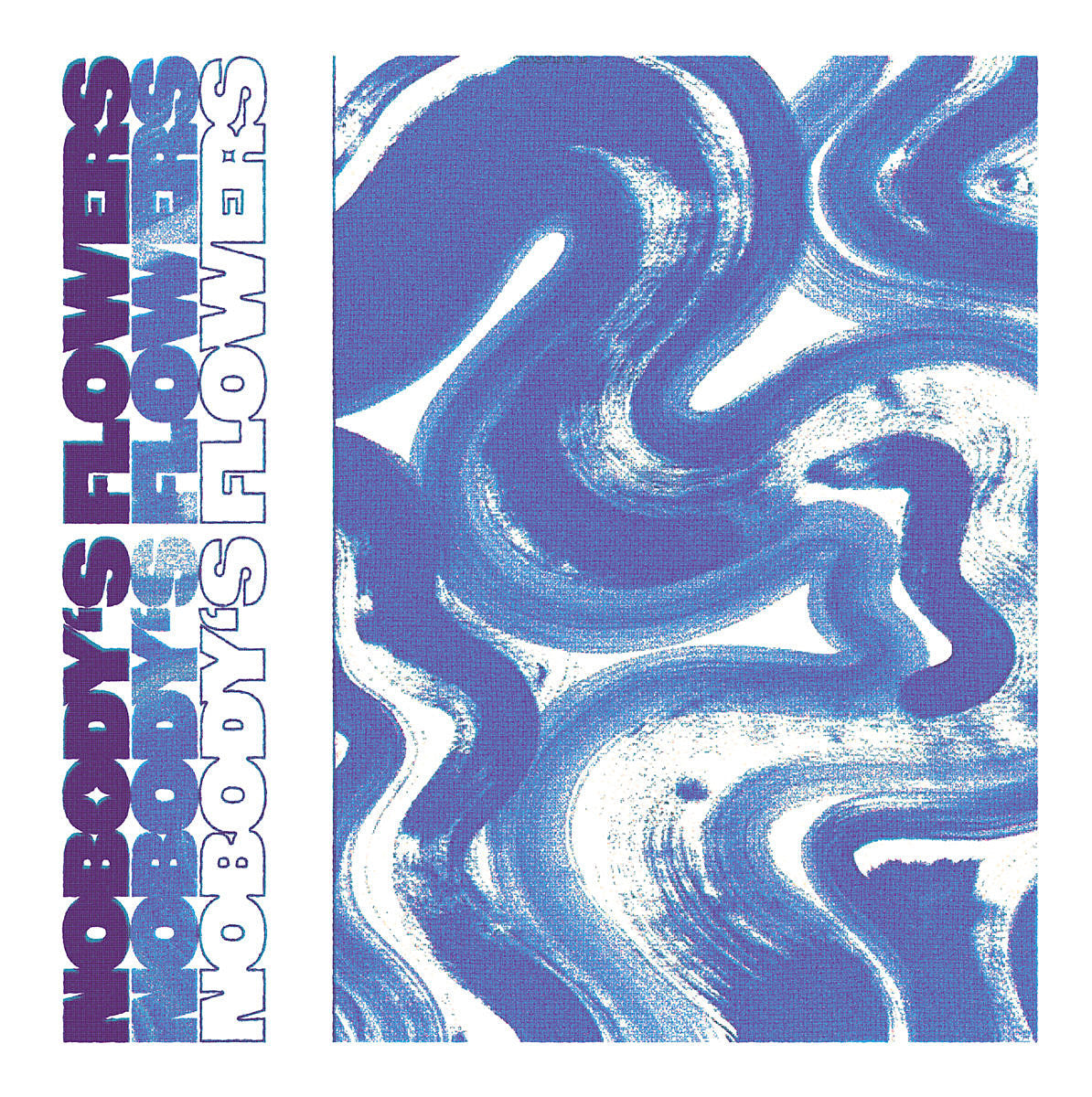 Nobody’s Flowers (mem Loss Leader, Neaux) deliver lovely jangle pop on debut LP (watch a video)
