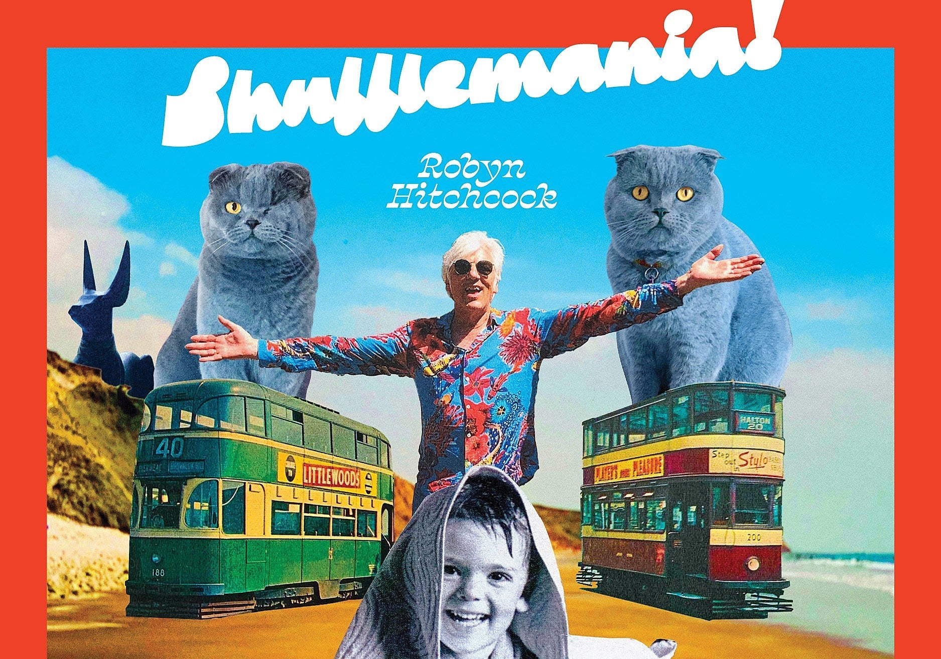 Robyn Hitchcock announces new album ‘Shufflemania!’ & shares “The Shuffle Man”