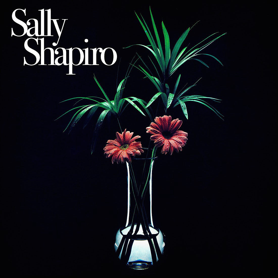 Swedish duo Sally Shapiro are back, share first single in 5 years, “Fading Away”