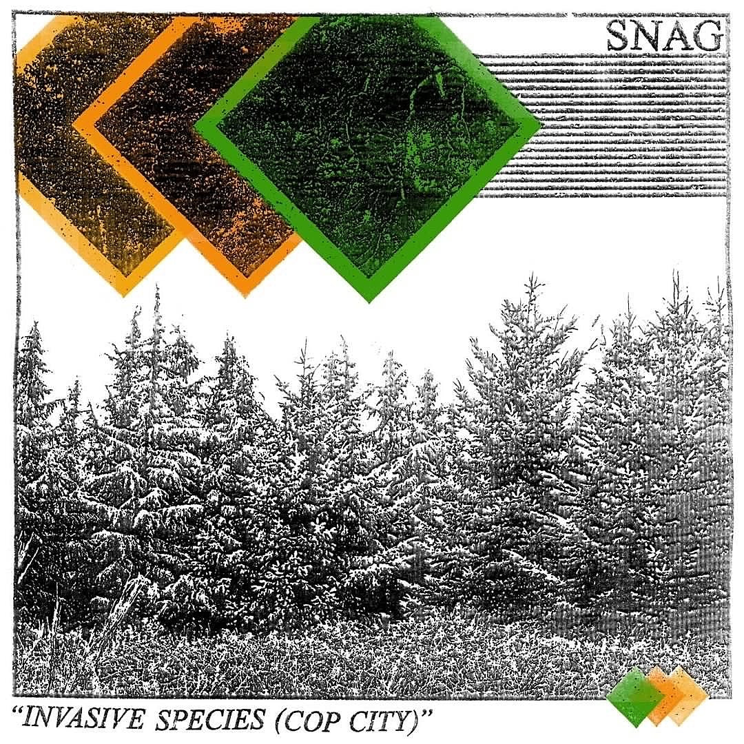 Stream Snag’s intense new screamo song, “Invasive Species (Cop City)”