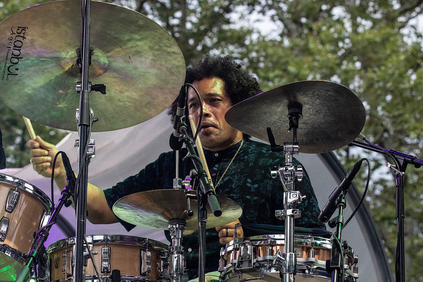 Tour news: Bell Witch, Makaya McCraven, Pain of Truth, Alison Roman, more