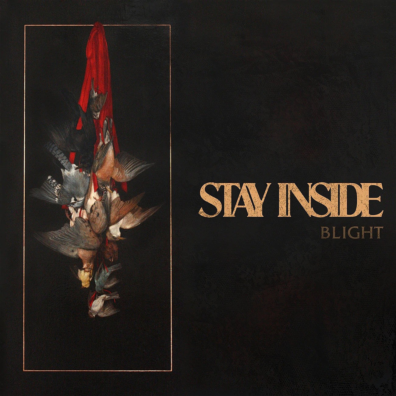 Stay Inside release new song “Hollow” off upcoming EP ‘Blight’ (listen)