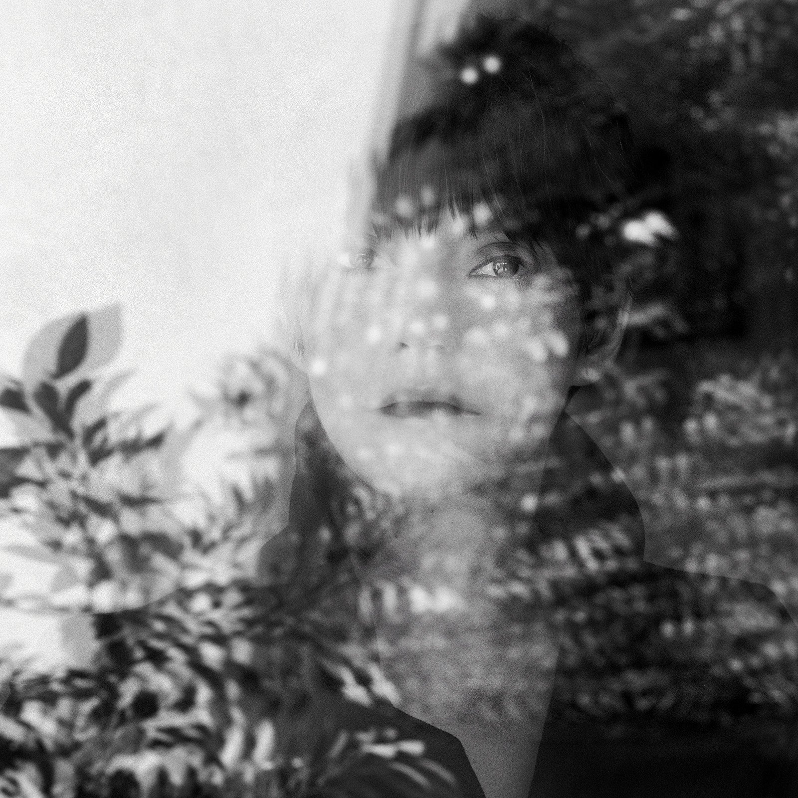 Sharon Van Etten shares new single “Used to It”