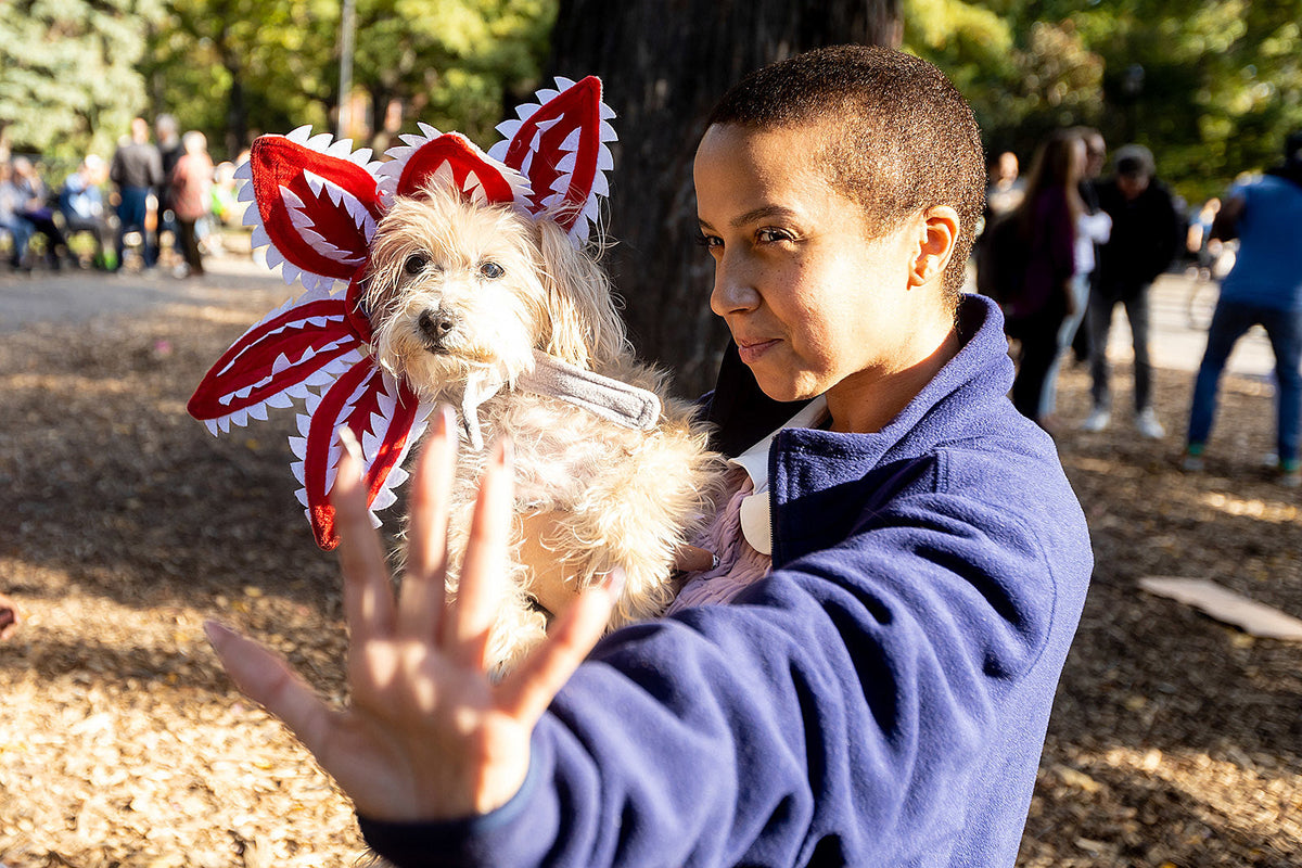 Dogs in costume took over Tompkins Square Park for 2022 Halloween Dog Festival (pics)