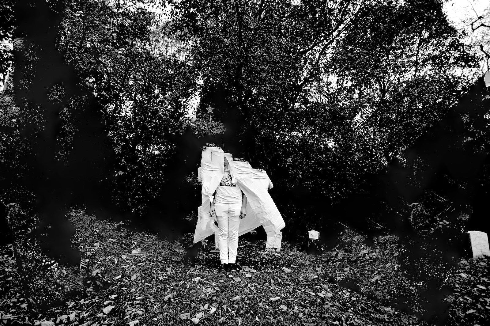 Virgin Mother prep 4 collab releases (stream 1 ft. Frail Body & Number 12 members)