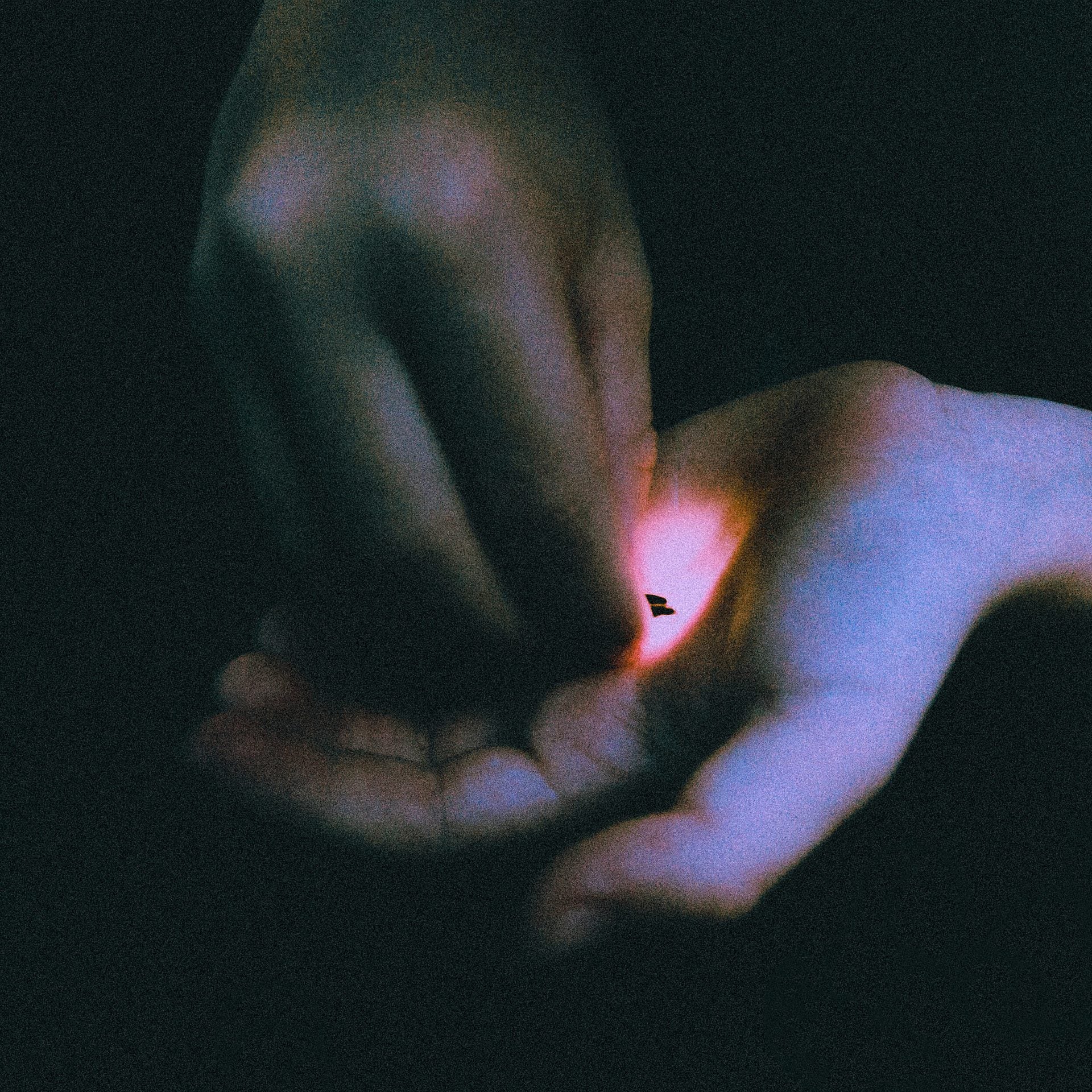 Bambara announce new LP ‘Stray’ & 2020 tour (listen to “Serafina”)