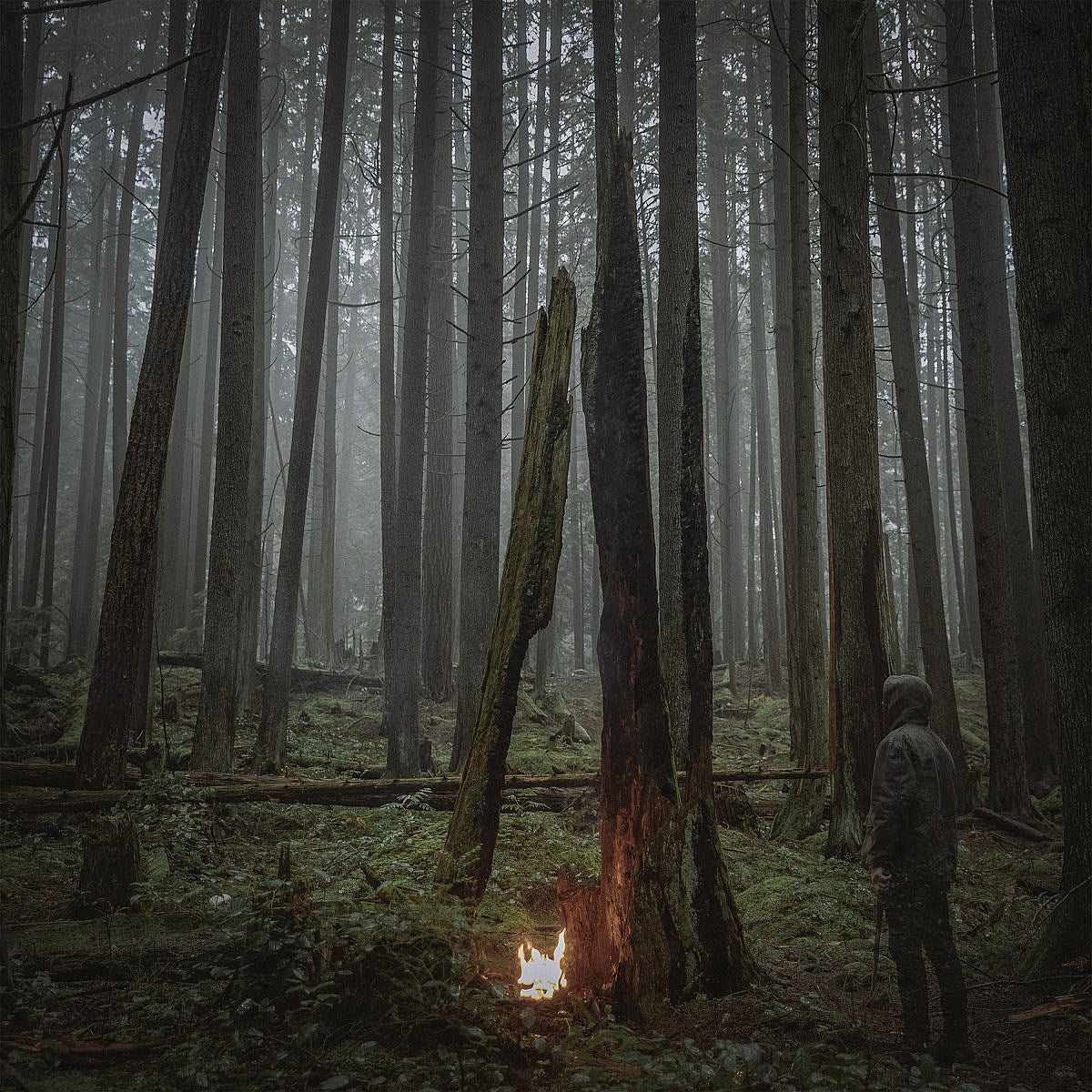 Baptists announce new album ‘Beacon of Faith,’ share “Capsule”